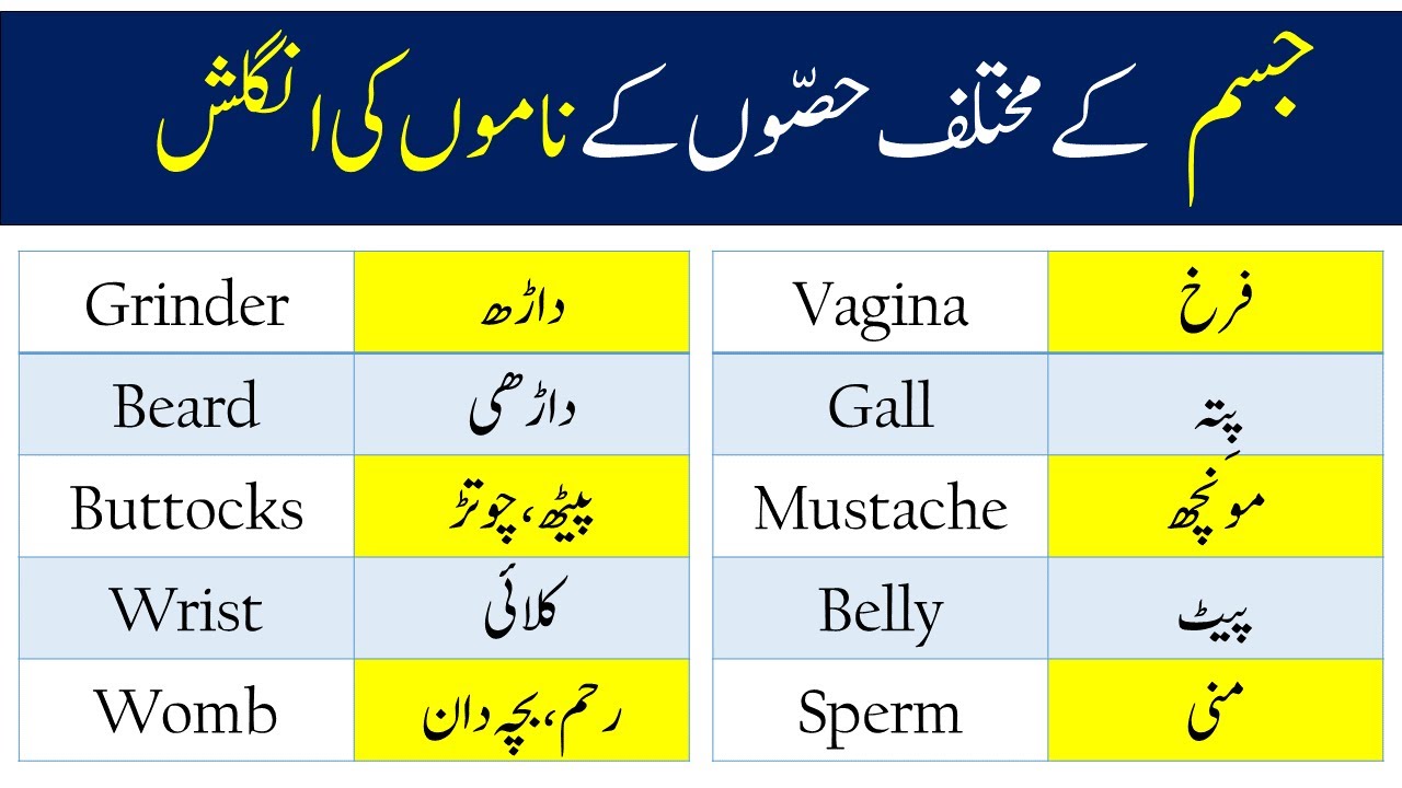 Parts of Body In English and Urdu | Basic English Vocabulary