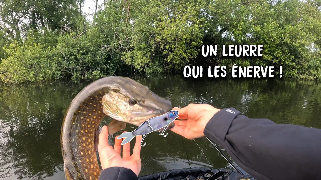 Test d'une NOUVEAUTÉ 2024 : Le LAUGHIN 170 Gamakatsu (SPRO)