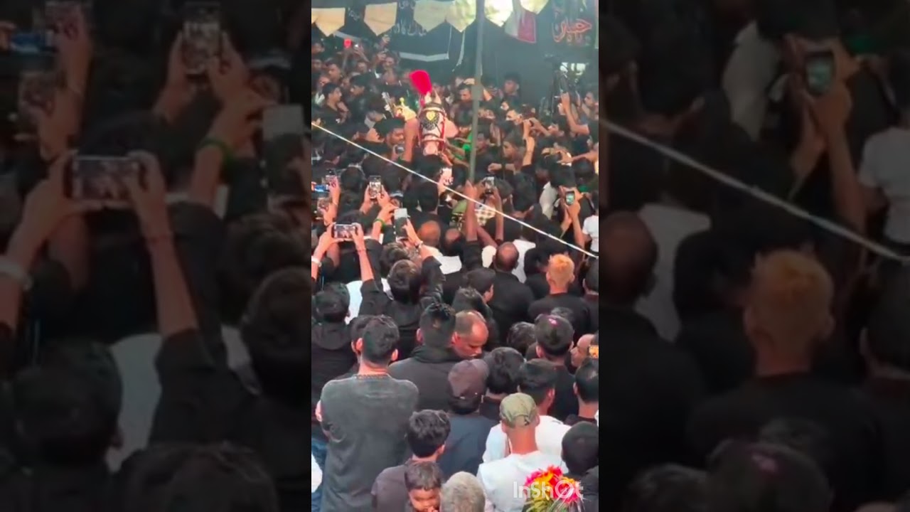 Baramdgi Shabih-e-Zuljanah at Safar ki Nauchandi Chawanpur Ghazipur Uttar Pradesh