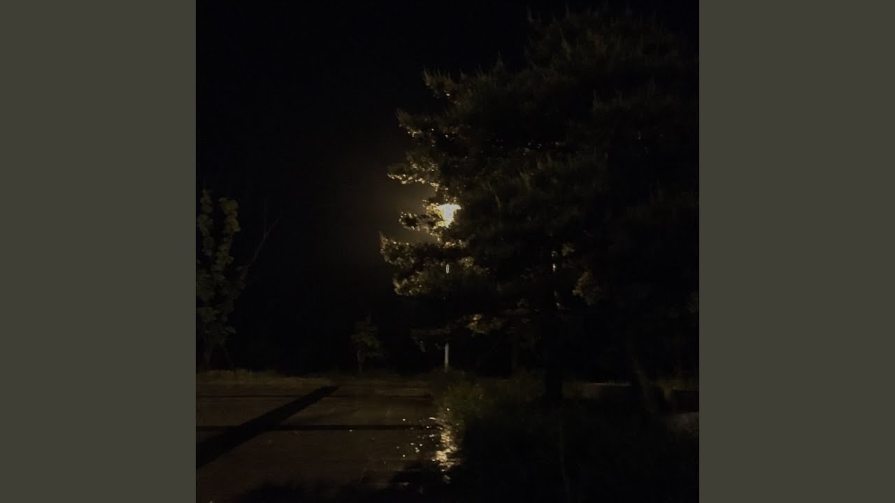 7년