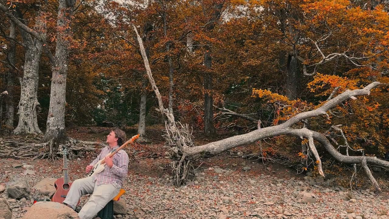 Thoughts by the Lake | a bass and guitar meditation (vol. 26) | Healing Sounds, No AI, Improvisation