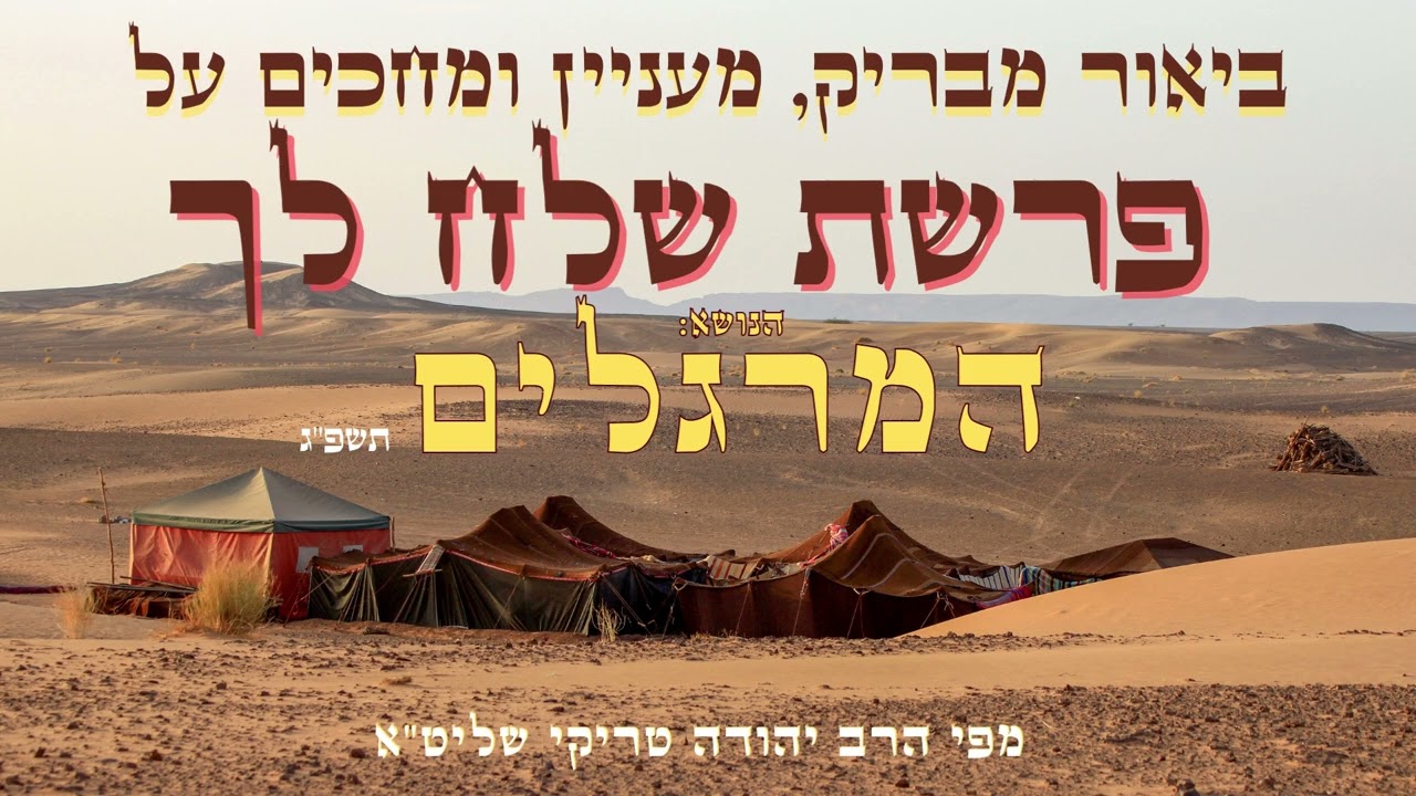 ביאור מרתק על המרגלים פרשת שלח לך תשפ