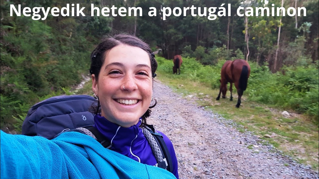 Portugál camino útinapló – 4.hét