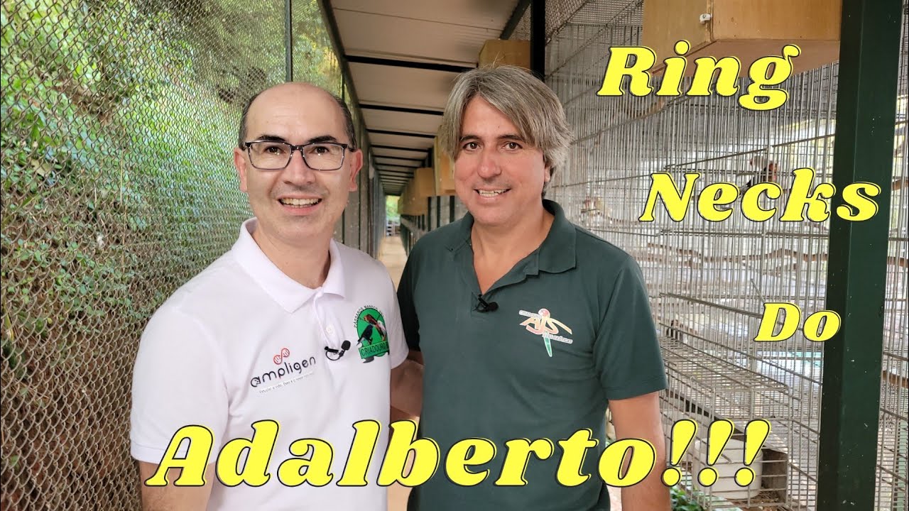 Visitando SP Com Ampligen,Curtam as Mutações de Ring do AJS!!!