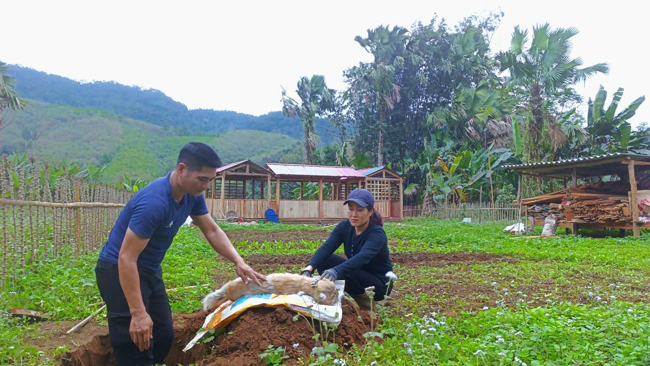 Shocked by the passing of our little friend. Sorrow has struck the CUONG & LAN