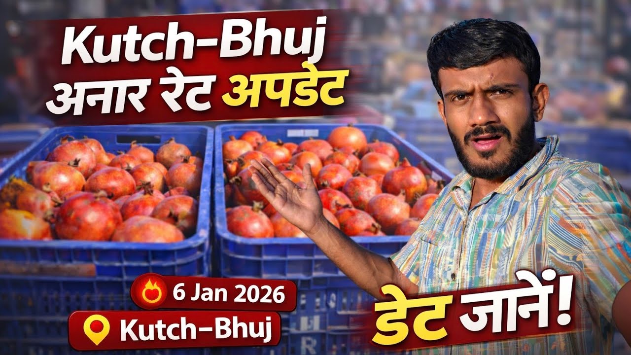 Kutch-Bhuj Anar Rate Update 🔥 | 6 Jan 2026 | Aaj Market Mein Kya Hua?
