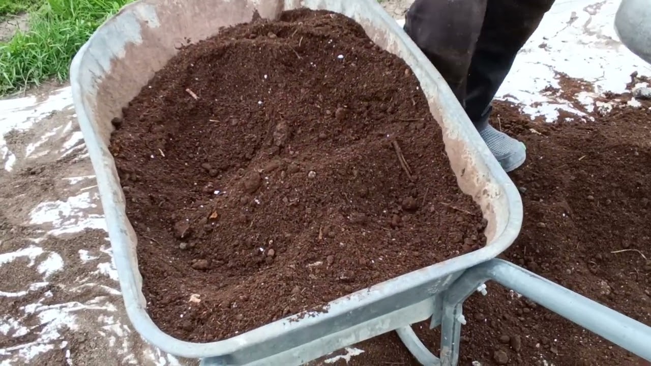 En Kaliteli Doğal Fide Gübresi Nasıl Olmalı