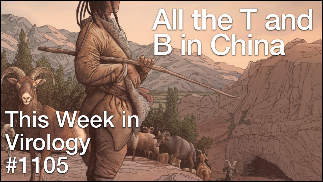TWiV 1105: All the T and B in China