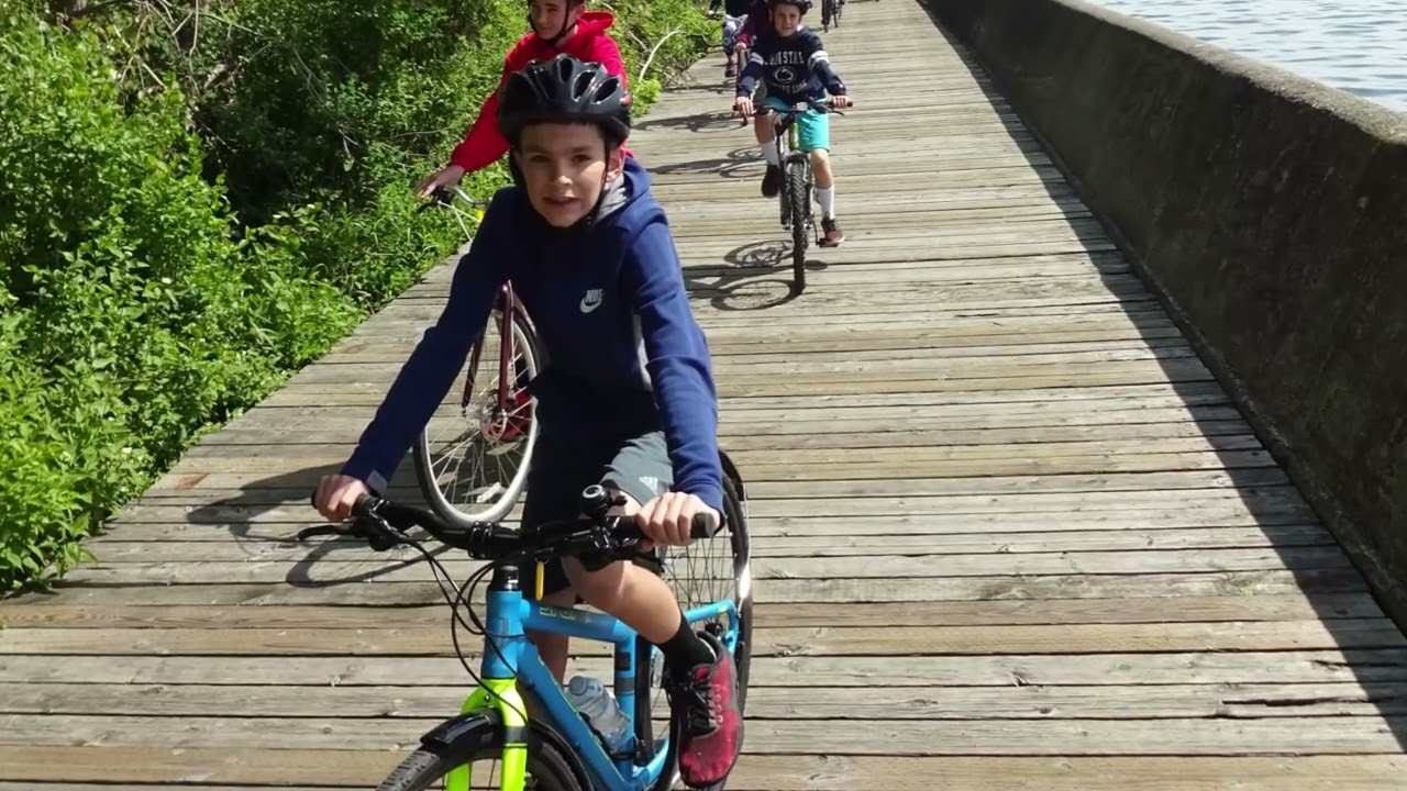 Toronto Bike Rentals - 230624