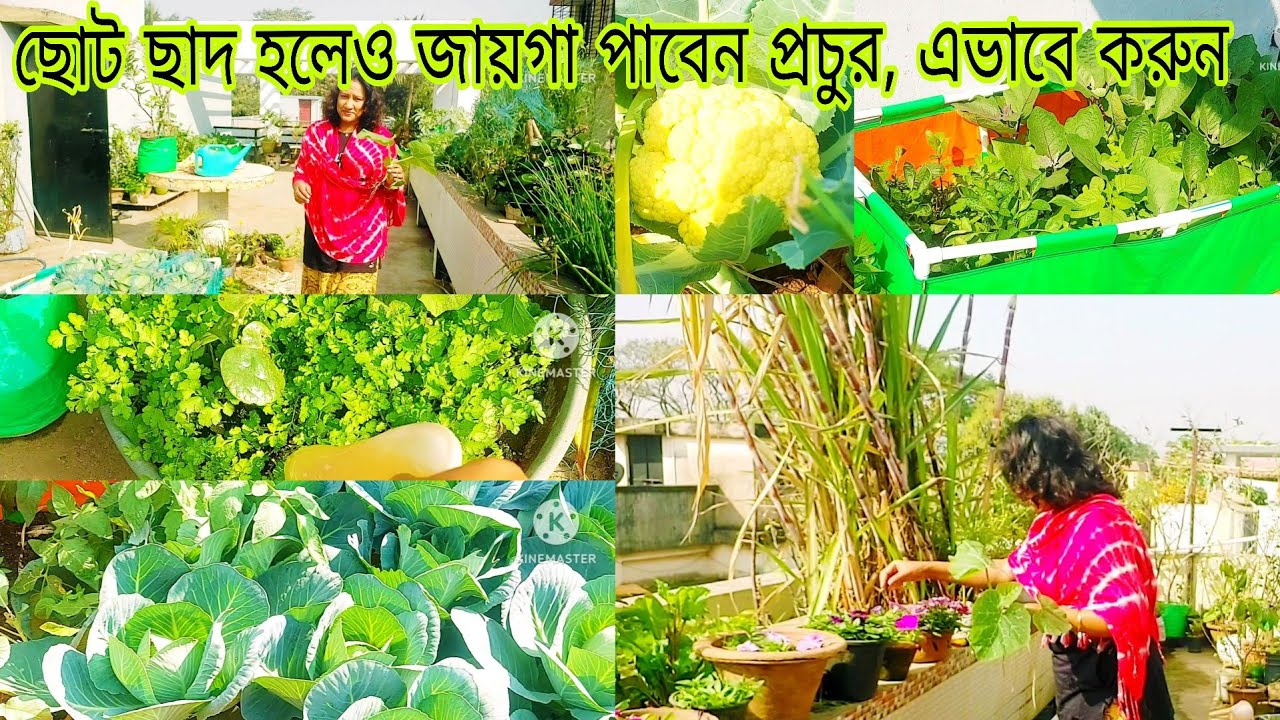 Bagane procgur jayga bar korun evabe r korun anek garomer sobji #roofgarden# 