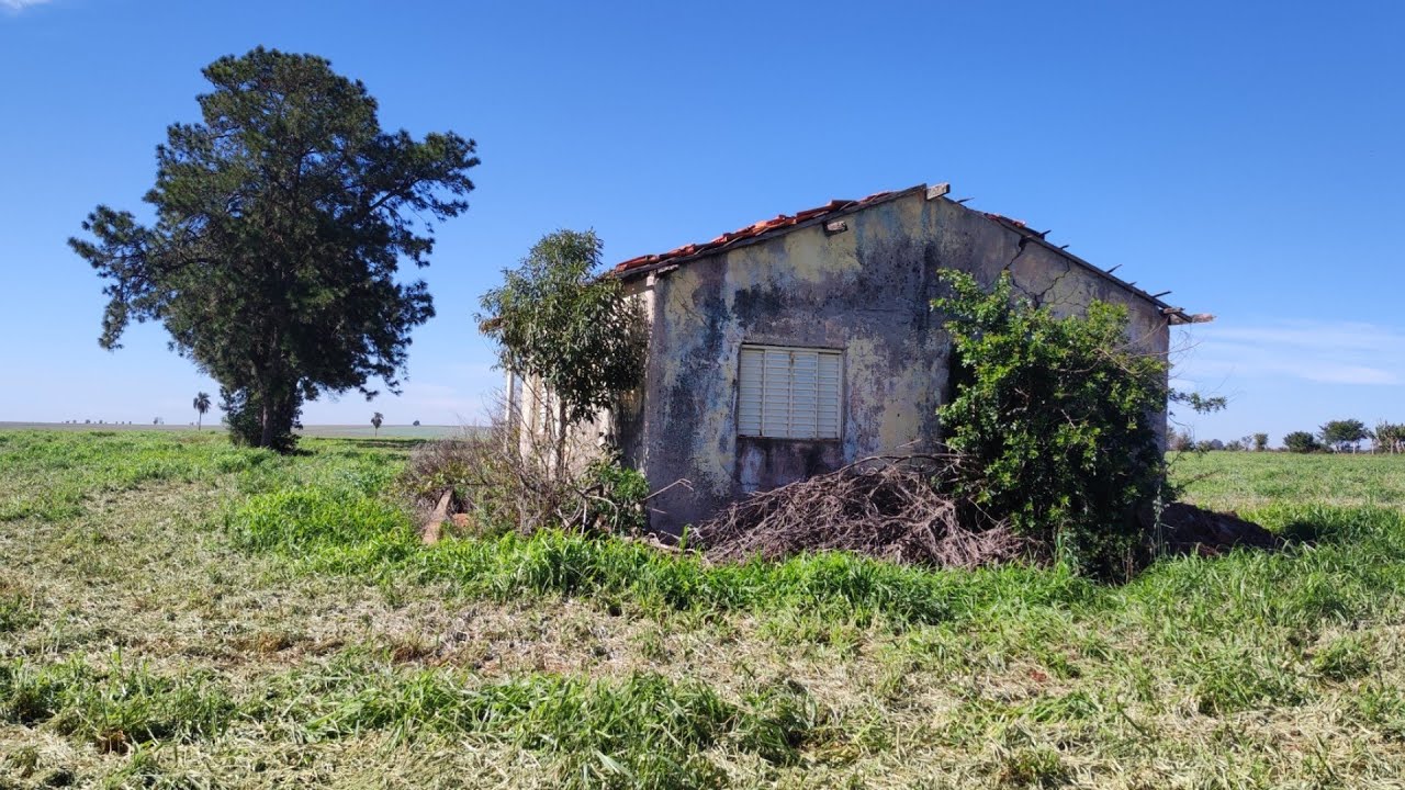 PRESIDENTE TOMOU O DINHEIRO DO IDOSO, E ELE FEZ ALGO QUE MUDOU O RUMO DA SUA HISTÓRIA