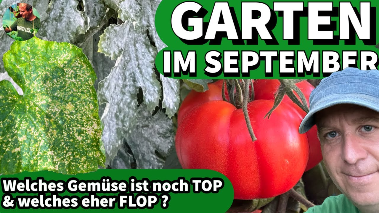 Kleiner Gartenrundgang | Tomaten | Gurken | Physalis uvm.
