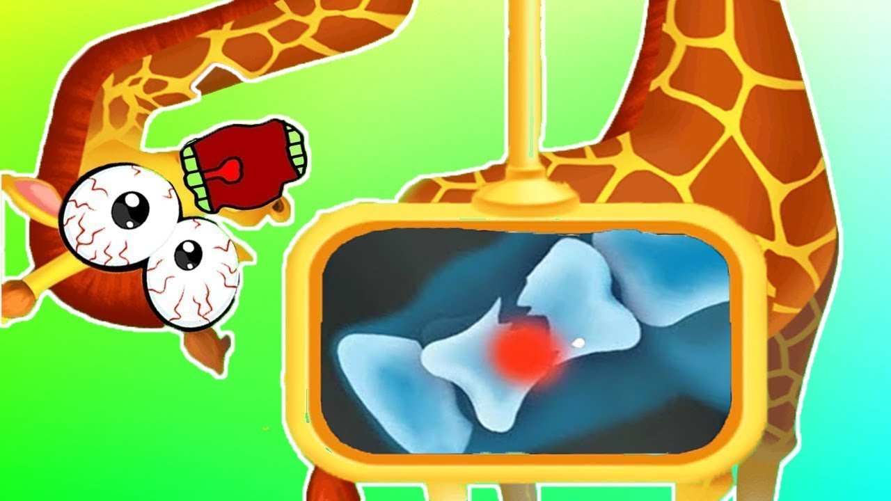 Play Fun Jungle Animal Care Kids Games - Save The Poor Jungle Animals - Fun Pet Games For Kids