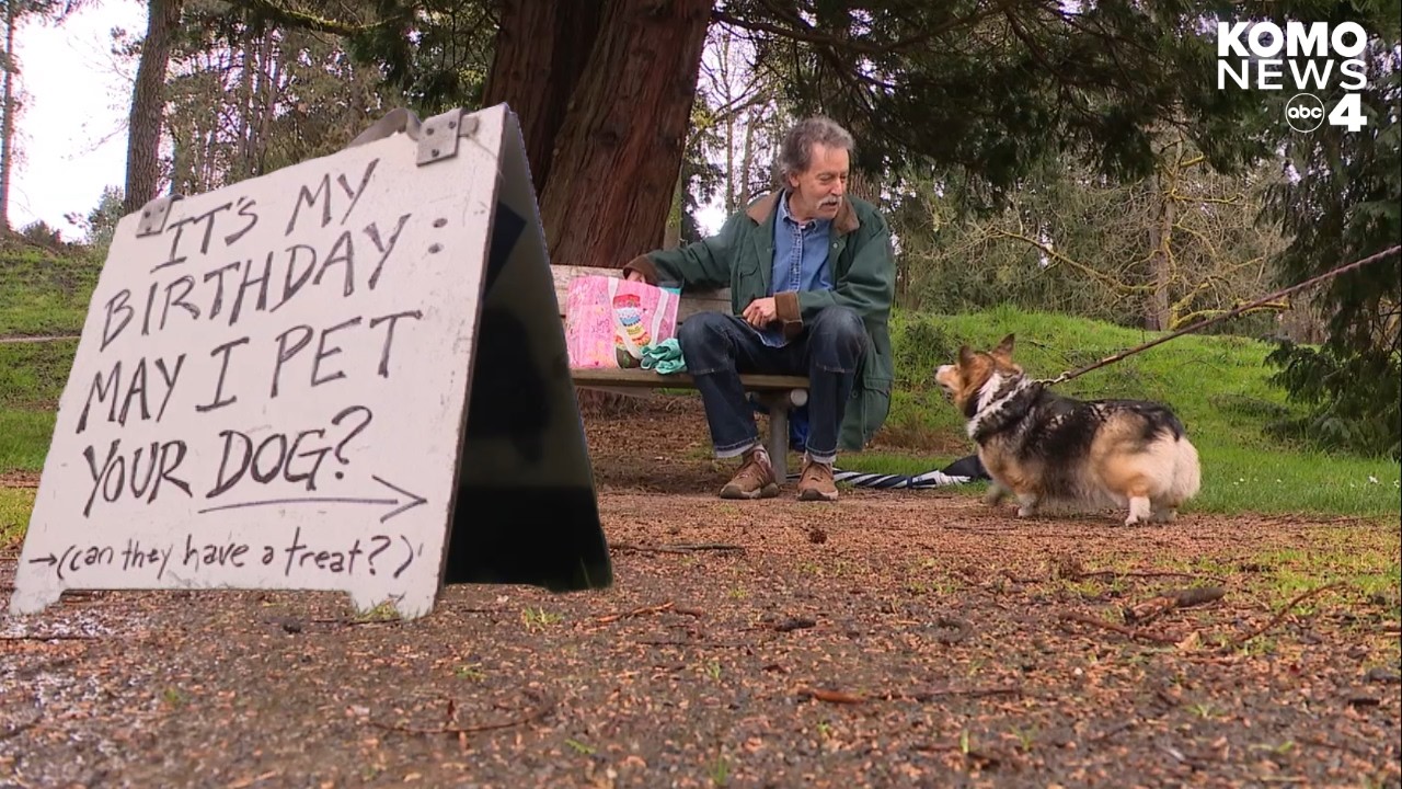 Seattle man pets hundreds of dogs for his birthday present