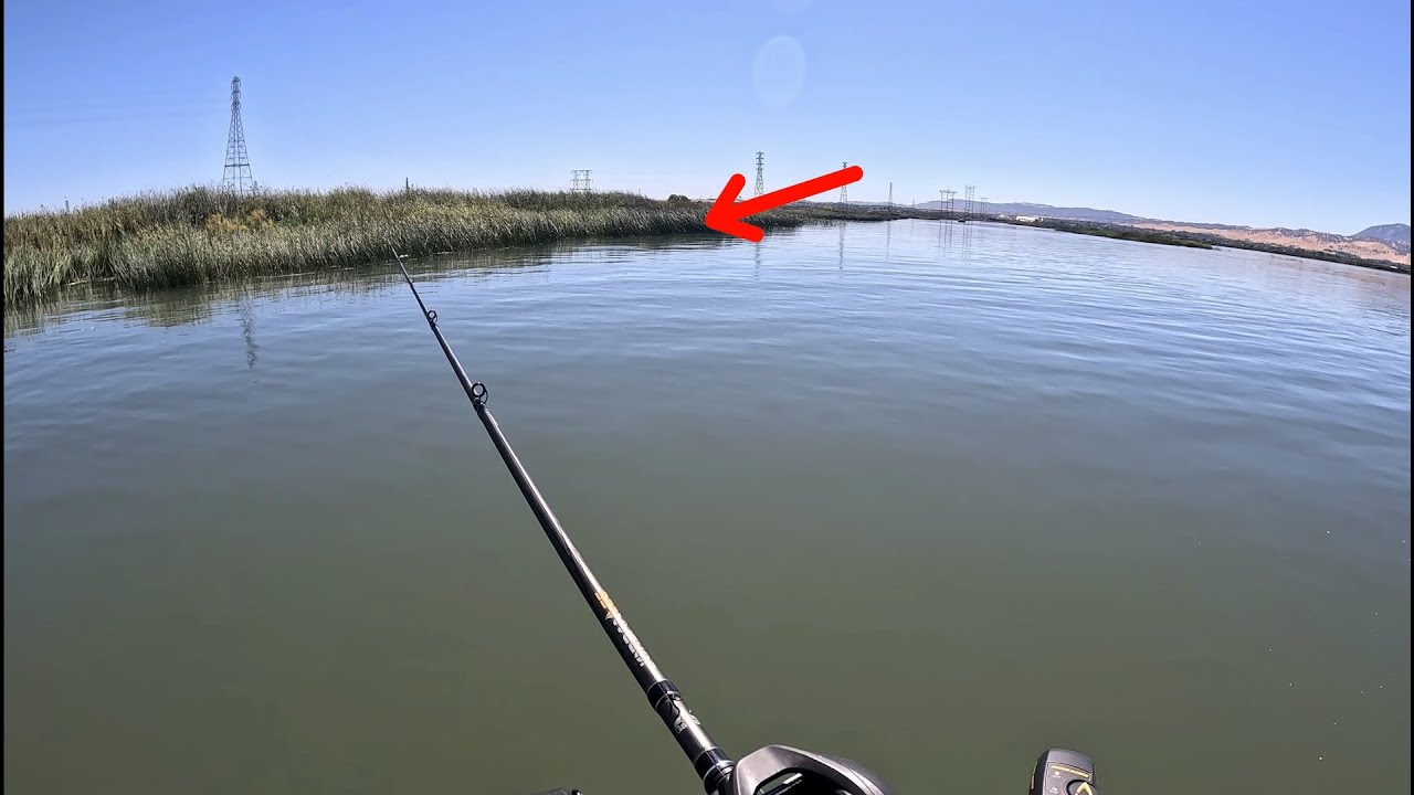 Striper Fishing Ca Delta/Sherman Island