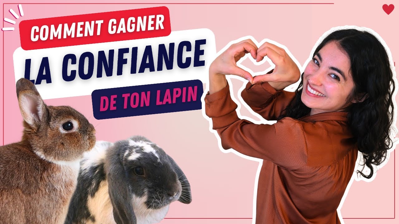 Gagne la confiance de ton lapin 🥰 Il va enfin t'aimer ❤️​