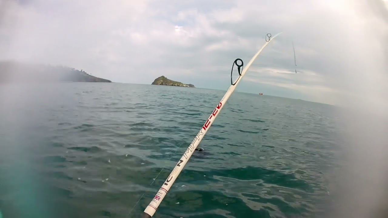 Wow! What a fish!  ( Watch to the end to see it).