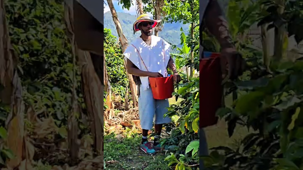 ☕ Coffee Tour in Colombia | Medellín Vacation Experience