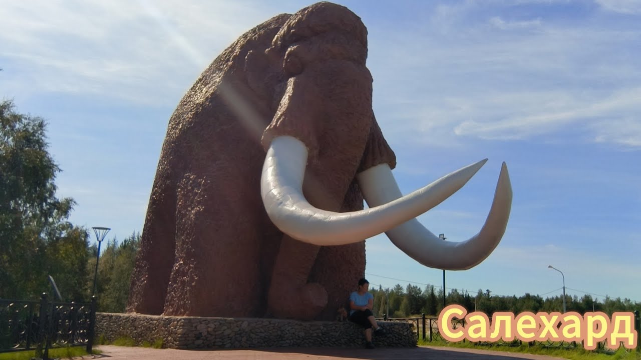 Обычный рейс в Салехард💥 с необычной погрузкой и разгрузкой. 