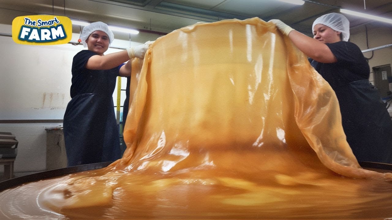 Комбуча: как это сделано?