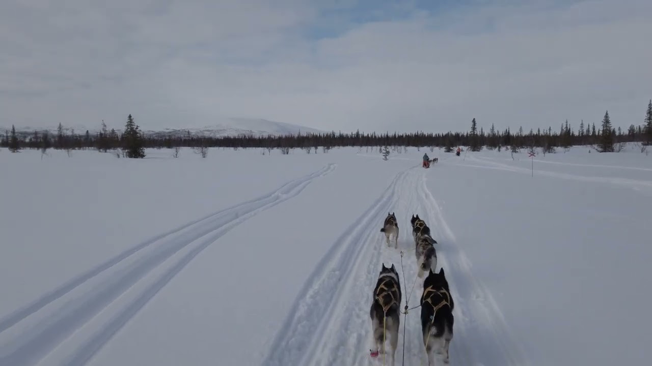 Sledding to Sitojaure - 9/3/24