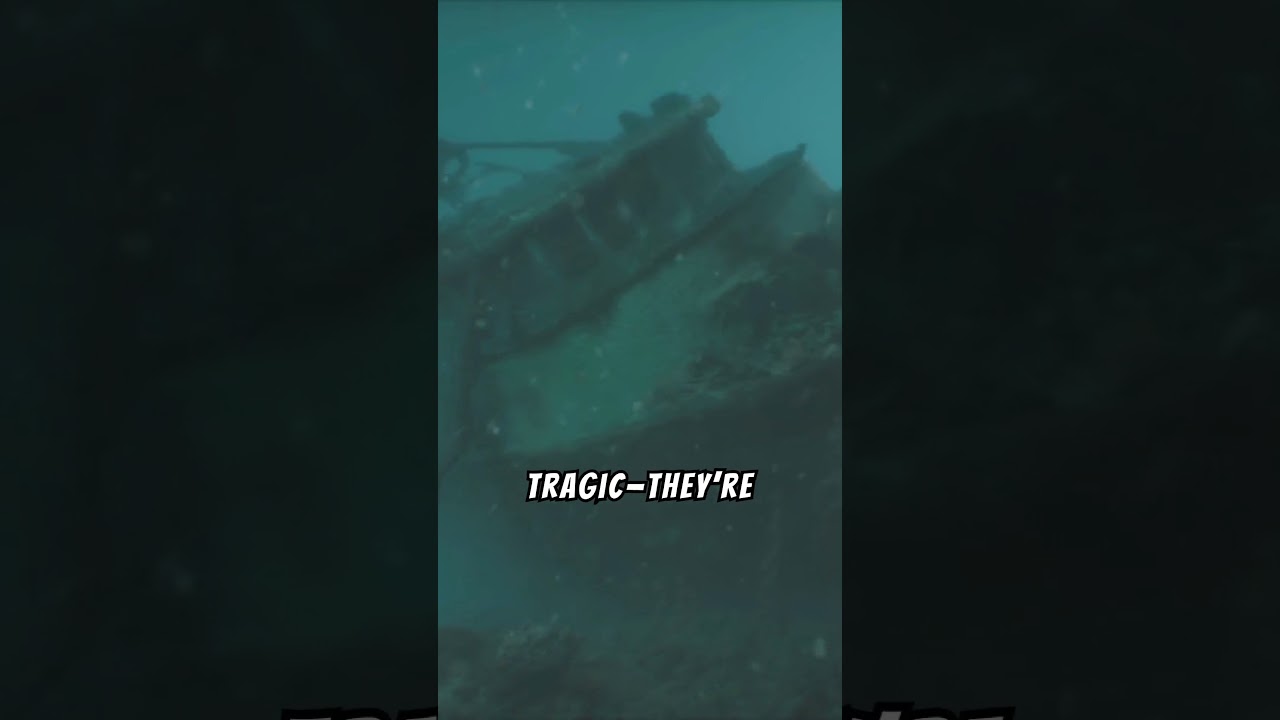 The Graveyard of Ships: Mysteries Beneath the Waves