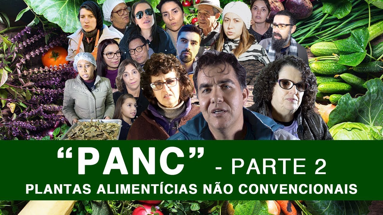 PANC - Parte 2 - Plantas Alimentícias Não Convencionais