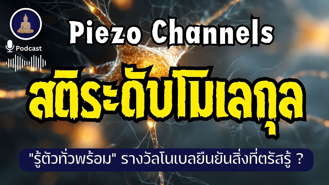 กายคตาสติระดับโมเลกุล - การมีสติรู้สัมผัสช่วยกระตุ้นระบบประสาท I #นะโมพุทธายะ