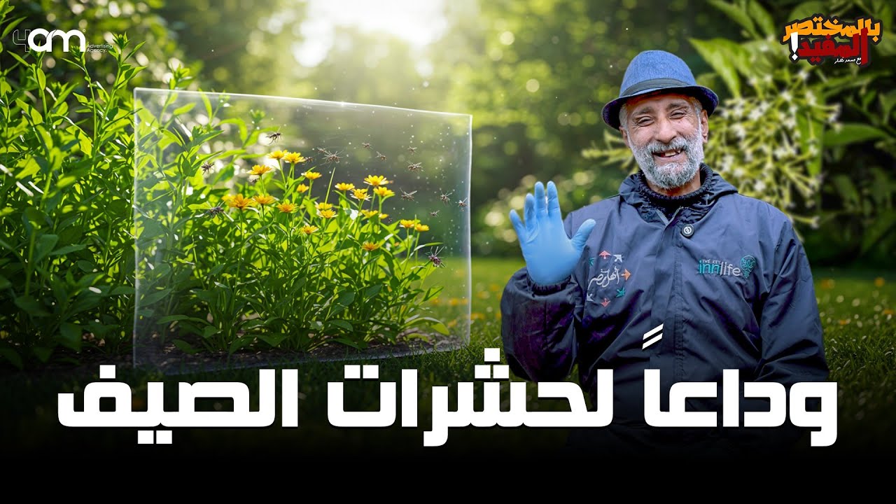 الخلطة السحرية للتخلص من ( الناموس والباعوض والصعو والهاموش والذباب )  بمكونات طبيعية بسيطة