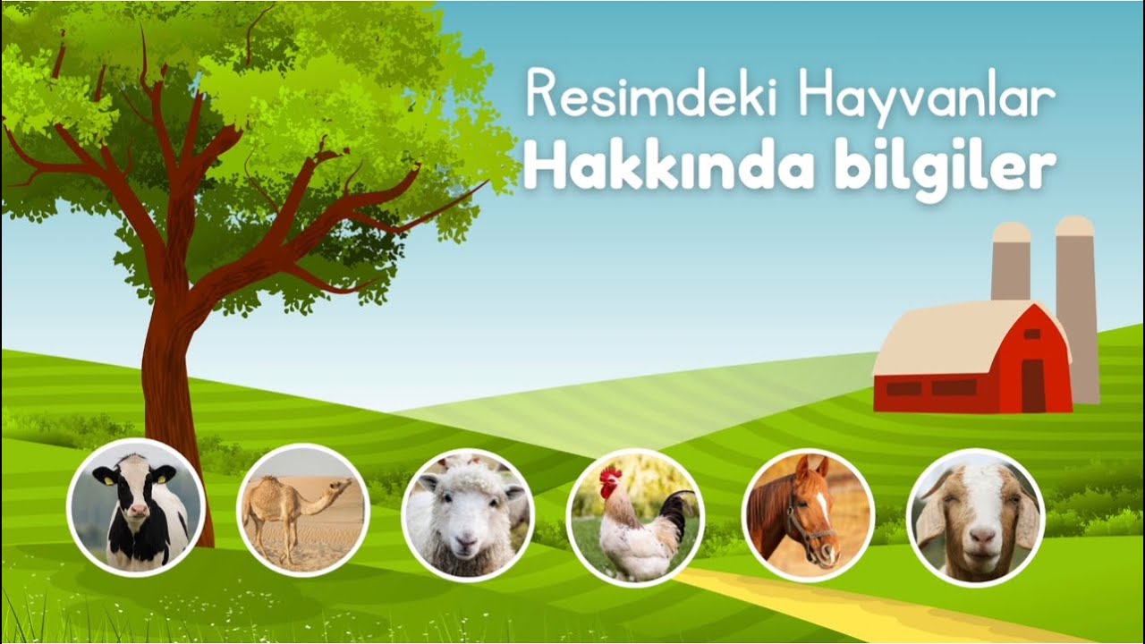 Hayvanları Tanıyalım | Çocuklar İçin Eğitici Video 🐮🐴