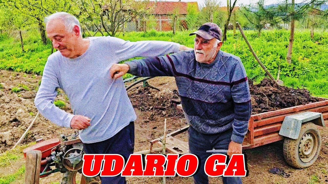 DRAGI I KOBI POPRAVLJAJU KULTIVATOR! DRAGI POLUDEO! *udario ga*
