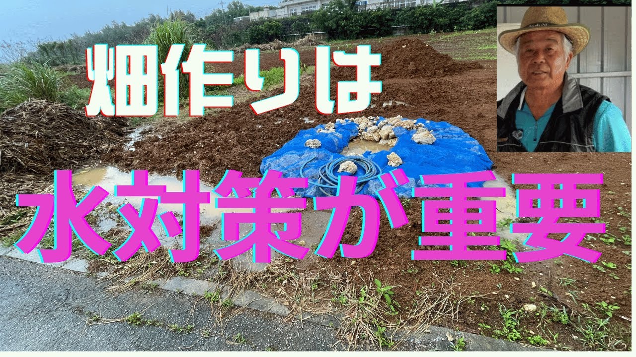 良い畑作りは、水対策が鍵となります。作物にも微生物君たちにも大きな影響を及ぼします。