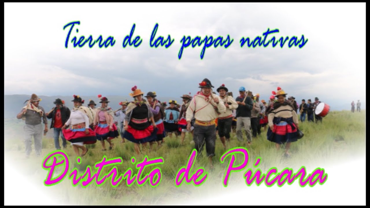 ✓♪♫ 