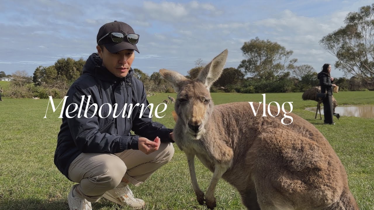 melbourne vlog | phillip island adventures - penguin parade & phillip island wildlife park