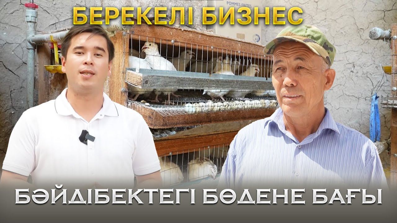 Берекелі бизнес | БӘЙДІБЕКТЕГІ БӨДЕНЕ БАҒЫ