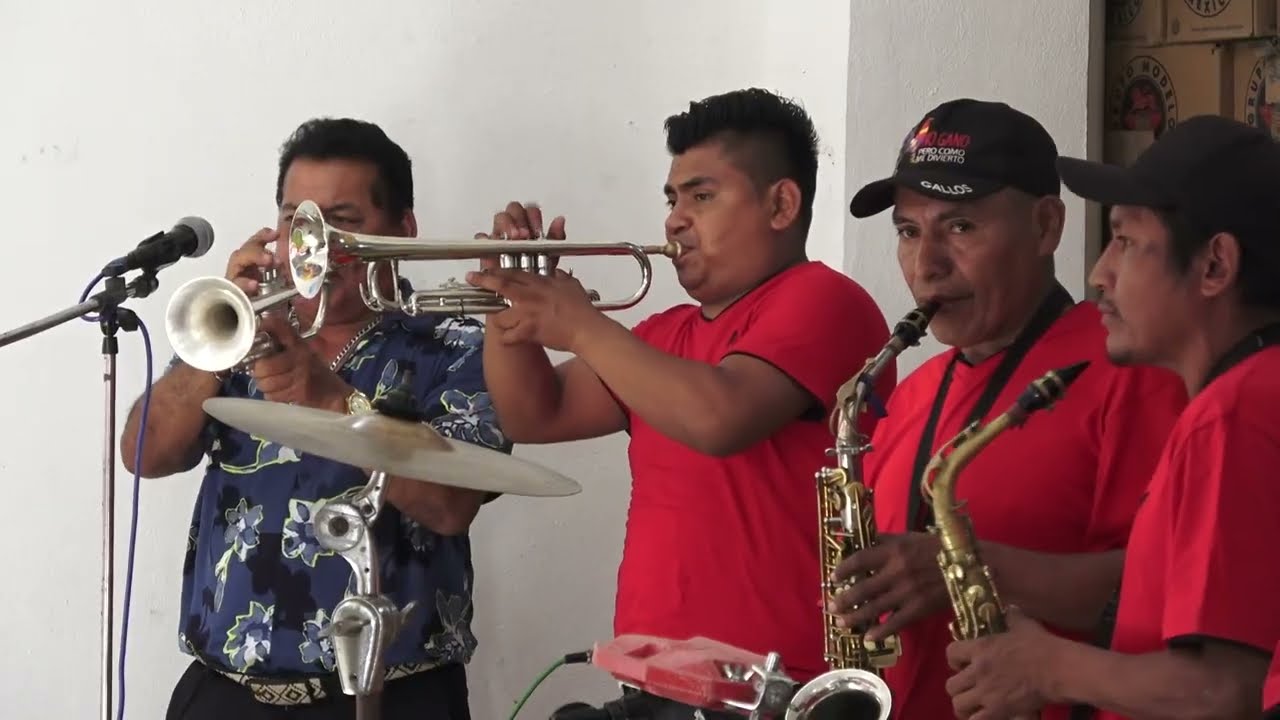 04 // FILADELFO ROBLES // LA MULA BRONCA // LA GALLINITA //BARZAN Y SU BANDA AZOYU