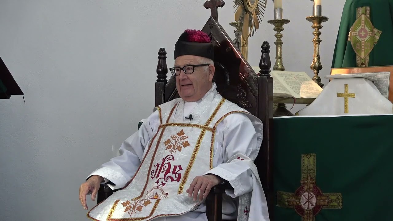 1241-SINODO Y CONCILIO. ¿El sentir de los FIELES... QUE NO TIENEN FE? Sacerdotes SEGÚN TU CORAZÓN
