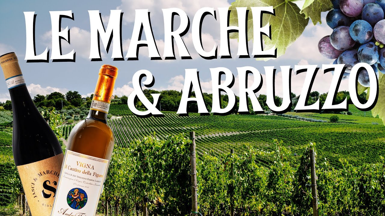 Exploring Italian Wine Regions - Le Marche & Abruzzo