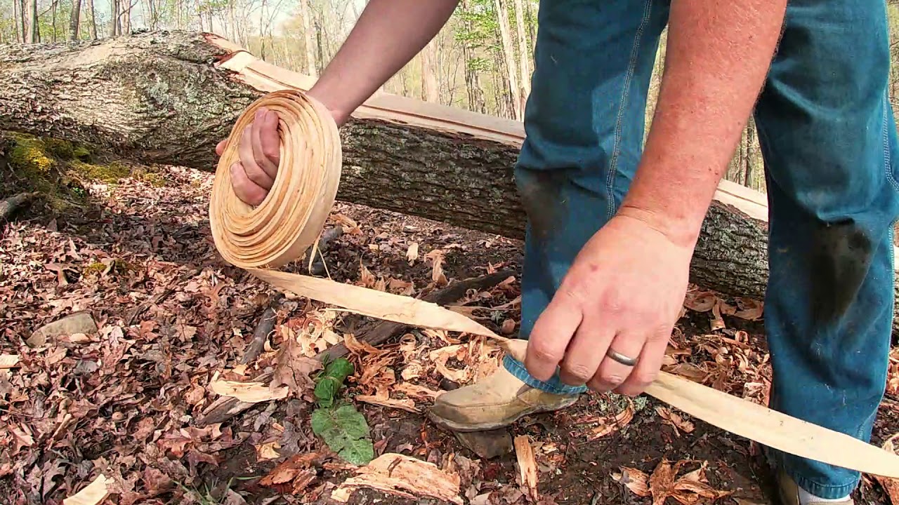 HICKORY BARK FOR CHAIR BOTTOMS