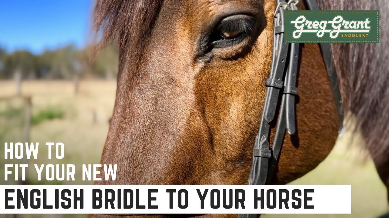 How to Fit Your New English Bridle to Your Horse - Greg Grant Saddlery