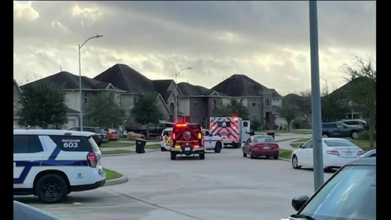 Man stabbed, wife opens fire during home break-in