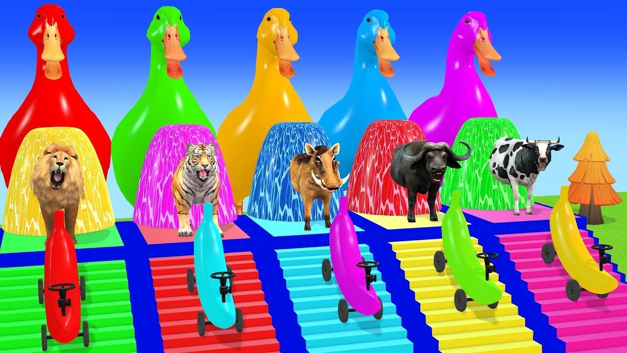 Long Slide Game With Cow Elephant Gorilla Hippopotamus Tiger 3d Animal Game Funny 3d Animals