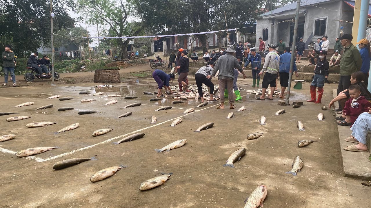 Lễ hội, cả làng đi bắt cá Xóm Cón, xã Thu Cúc, tỉnh Phú Thọ - Phú Thọ Tôi
