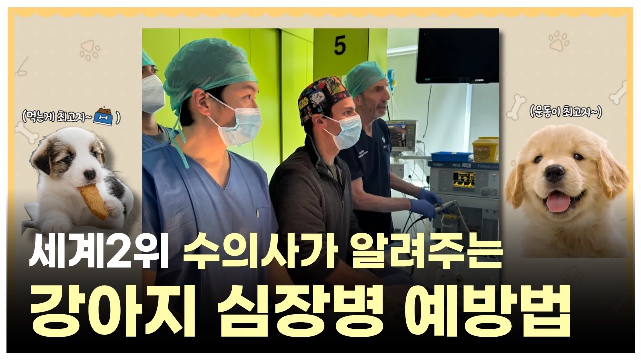 심장수술 세계2위 수의사가 알려주는 강아지 심장병 예방법! | 최고의수의사들
