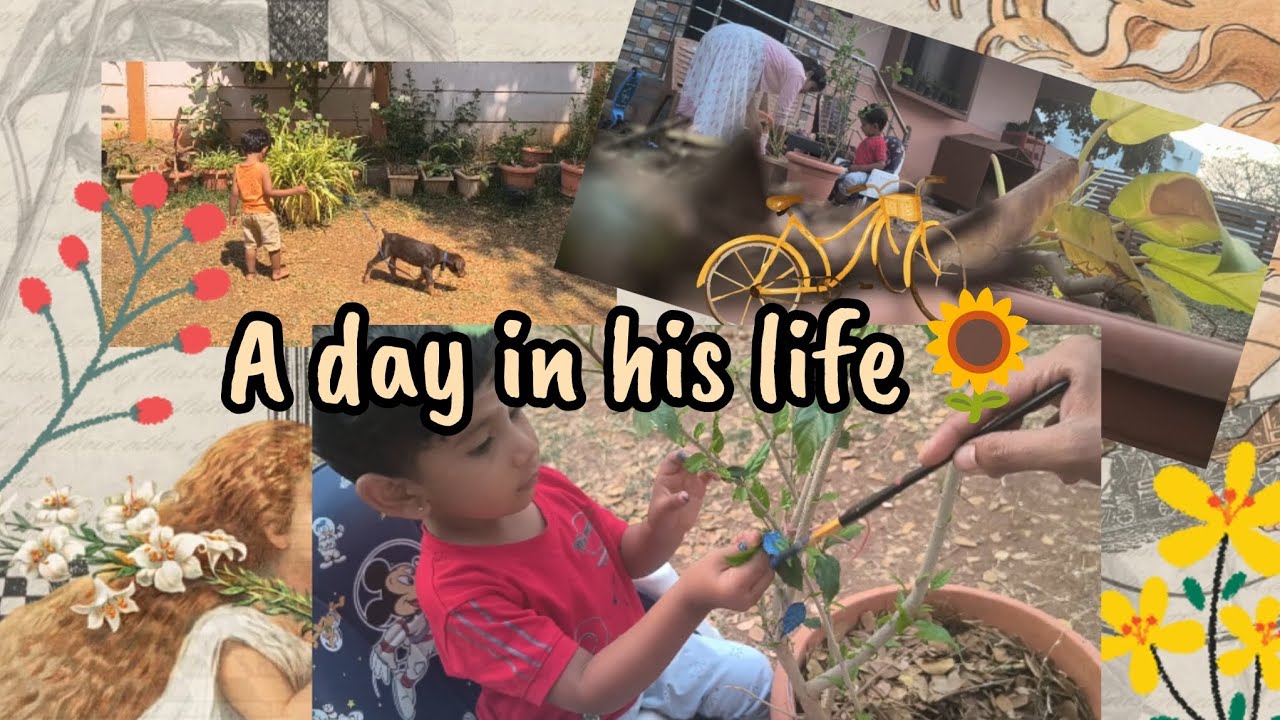 A normal day it was💗daily vlog #dailyvlog #youtubevideo #adayinmylife #myson #myboy  #nidhiee'svlogs