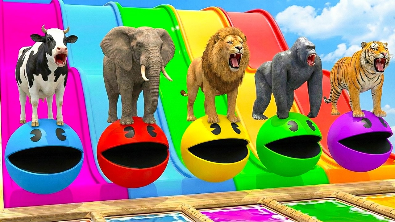 Long Slide Game With Cow Elephant Gorilla Hippopotamus Tiger - 3d Animal Game - Funny 3d Animals