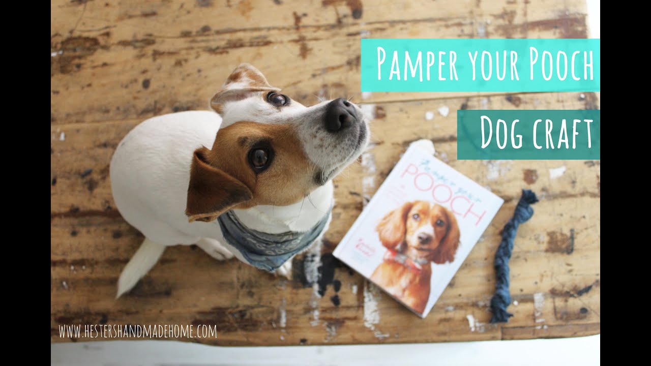 Make a dog toy from the Pamper your pooch book