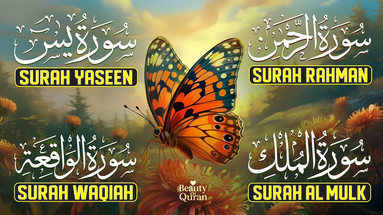Peaceful Surah Yaseen (Yasin) | Surah Ar-Rahman | Surah Al-Waqiah | Surah Al-Mulk - By Alaa Aqel