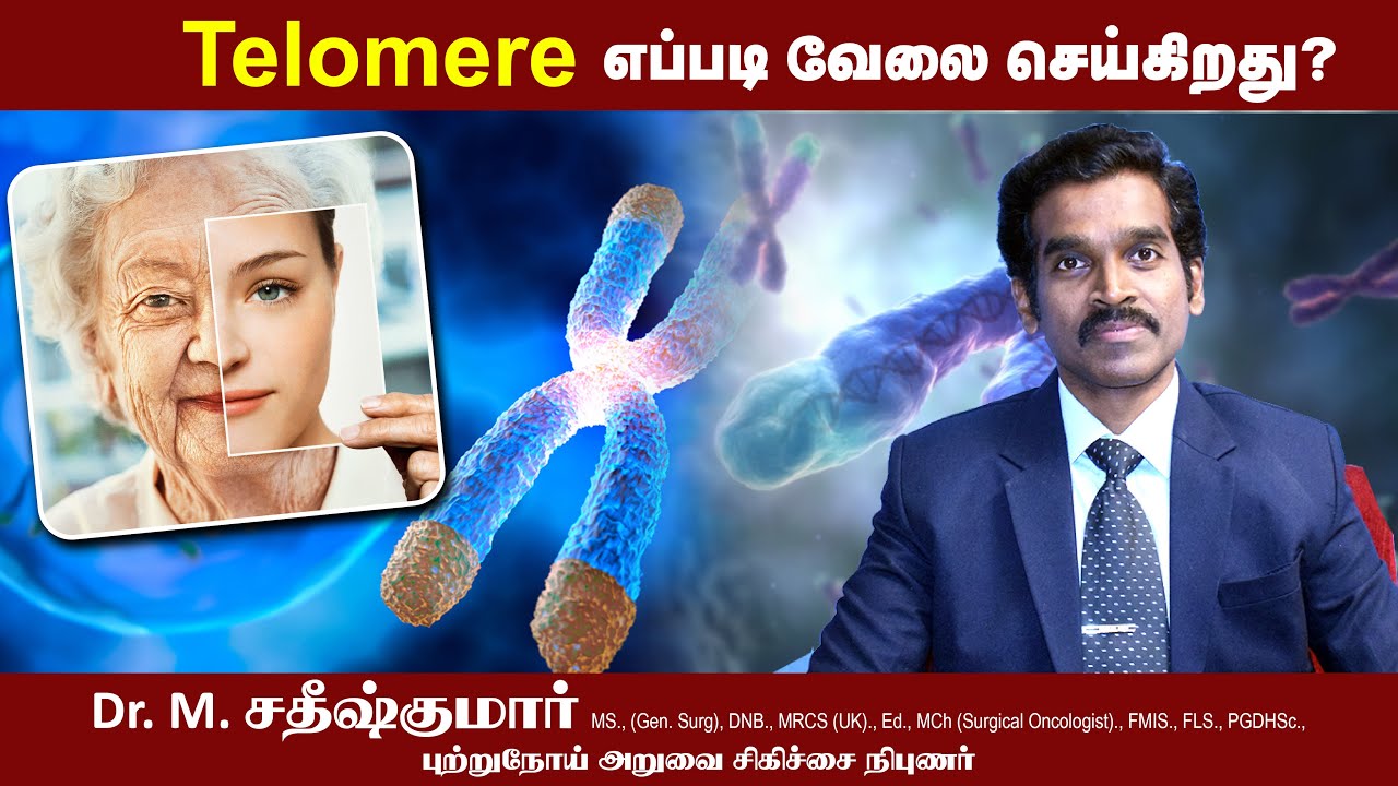What is Telomere? Telomere is what? | Mohans Medicity Hospital