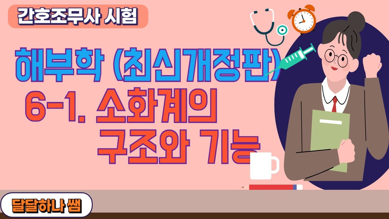 간호조무사 시험 해부학 6-1 소화계의 구조와 기능
